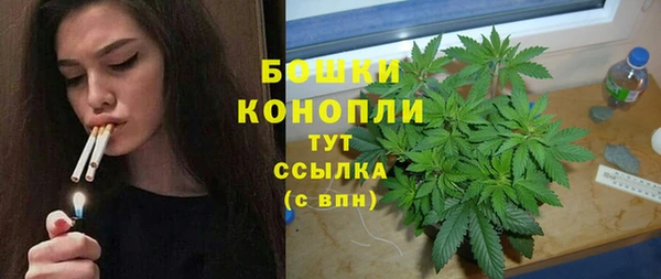 стафф Богородицк